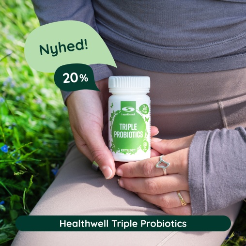 Healthwell Matcha Pulver 20 %
